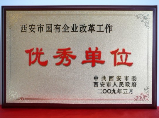 2009年5月，被西安市委、市政府評(píng)為西安市國(guó)企業(yè)改革工作優(yōu)秀單位