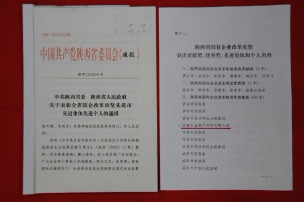 2009年2月，被陜西省委、省政府授予陜西省國(guó)有企業(yè)改革攻堅(jiān)先進(jìn)集體